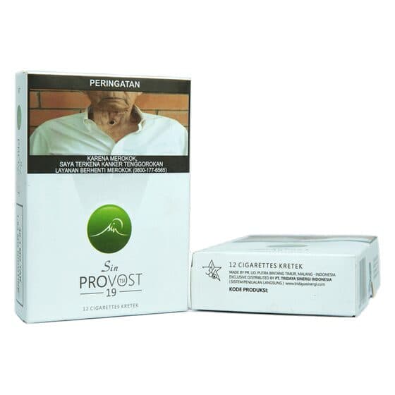 SIN PROVOST 19 TSI